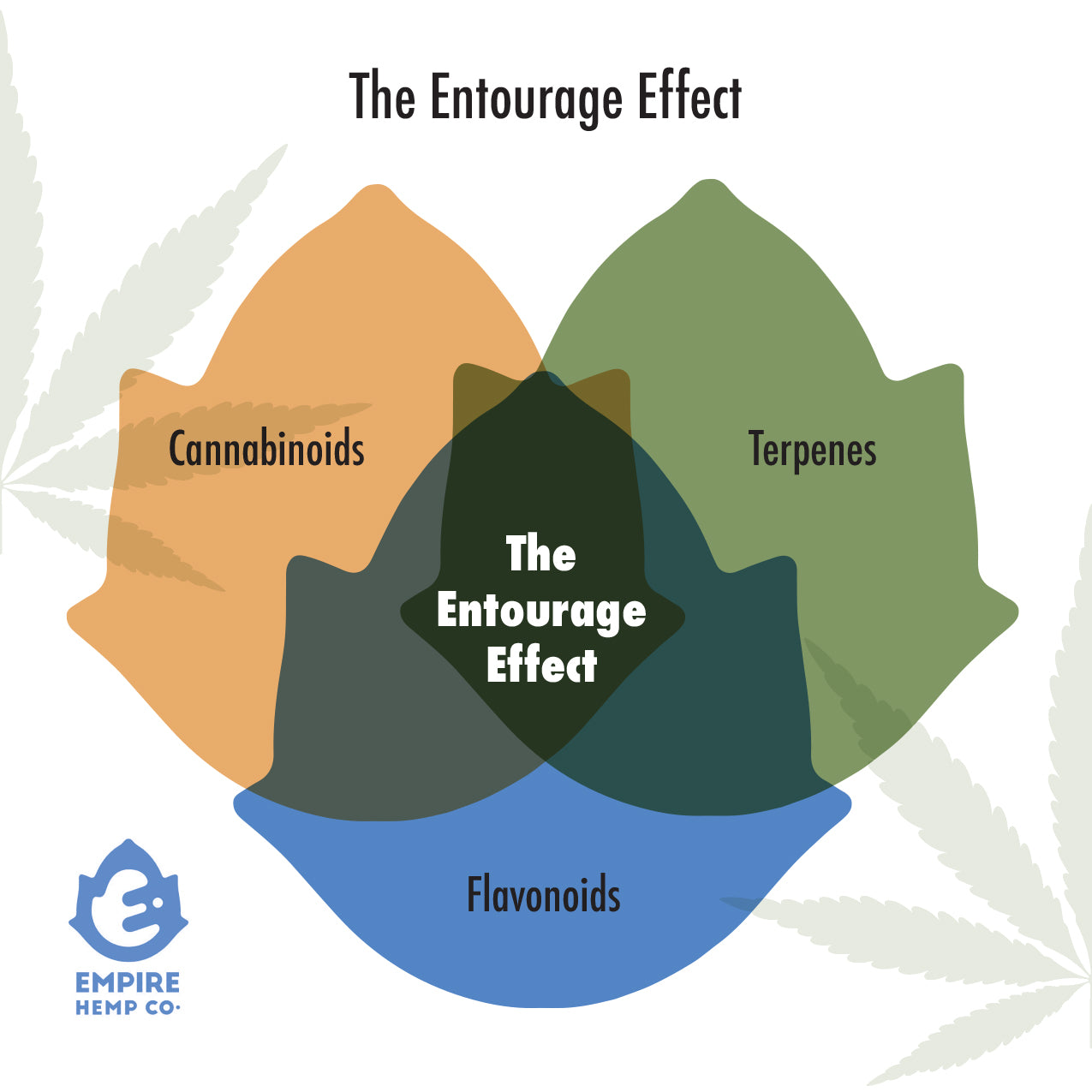 Entourage Effect What Is The Entourage Effect And What Does It Mean